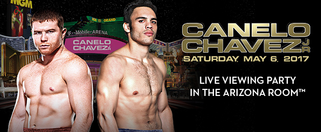 Image result for Canelo vs Chavez Jr