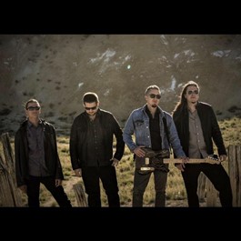 Mike Reeves Band