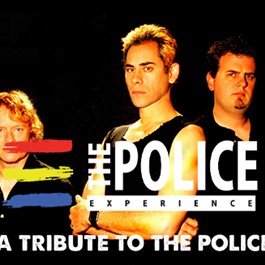 The Police Experience